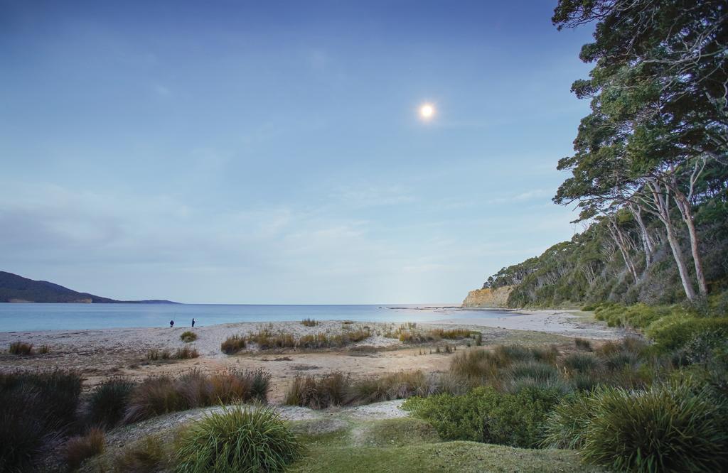 두러스 Depot Beach Cabins 빌라 외부 사진